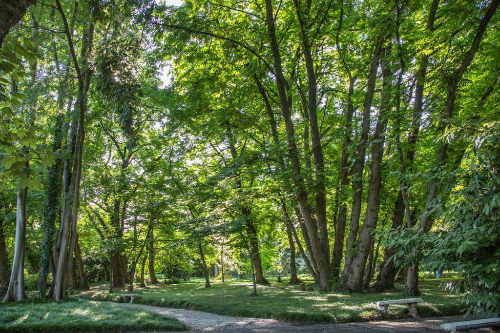 Villa Revedin Gorgo al Monticano Eksteriør billede